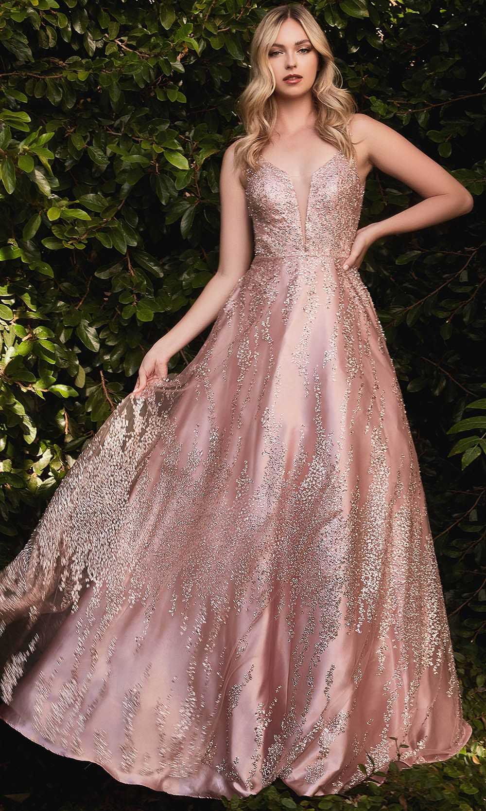 Cinderella Divine, Cinderella Divine J819 - Winter Florals Ball gown